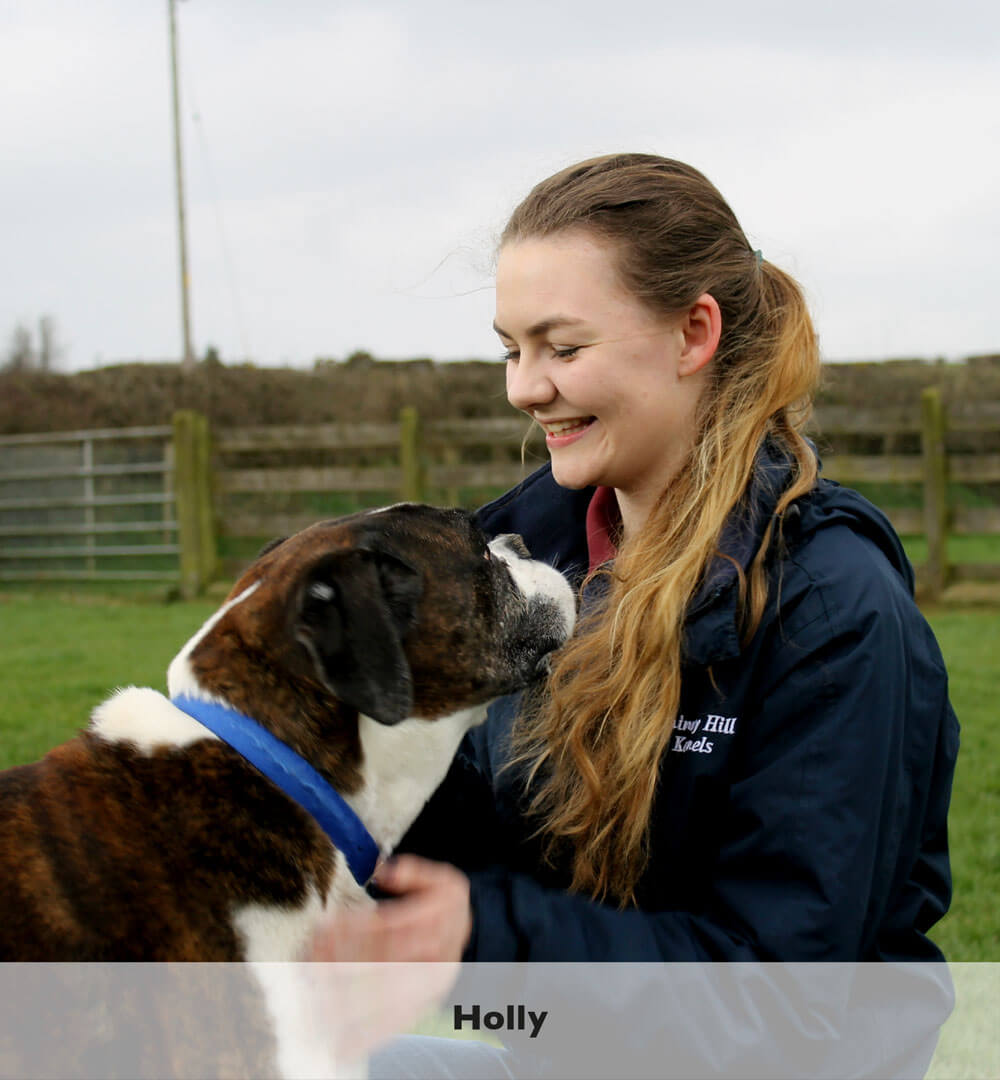 holly